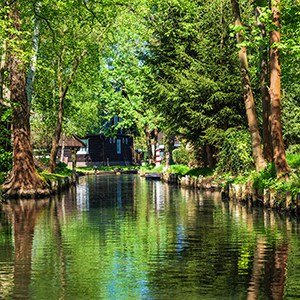 Spreewald – Dresden, Outdoor-Erlebnis