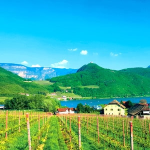 Südtirol